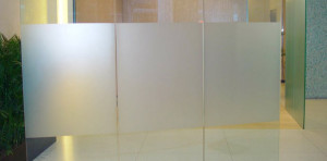Garibaldi-Glass-50-Murray-2